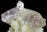 Double-Terminated Amethyst Crystal on Quartz - See Video! #163976-3
